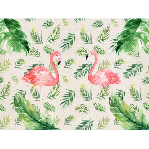 Чарующие фламинго