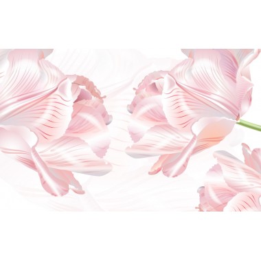 Фреска  тюльпаны в розовой нежности