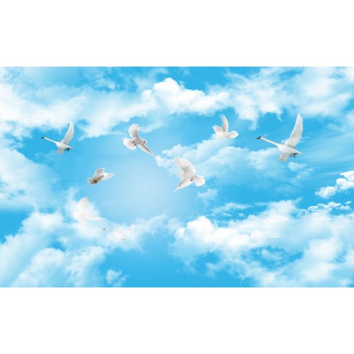 Небесные птицы