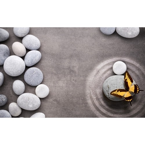 Необыкновенная бабочка