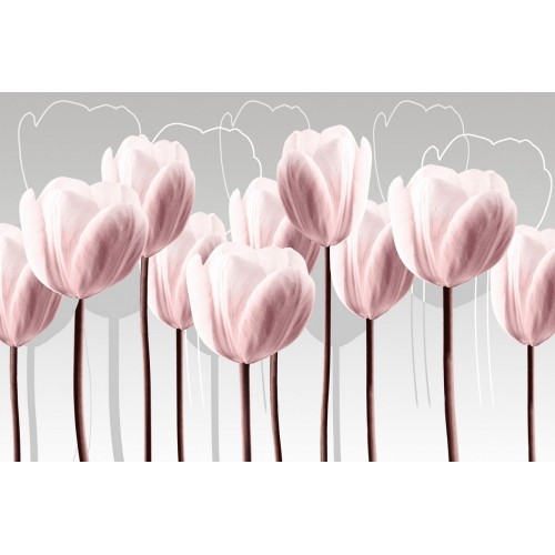 Розовые тюльпаны