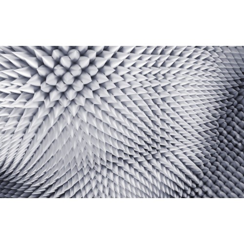 Фреска Шипы