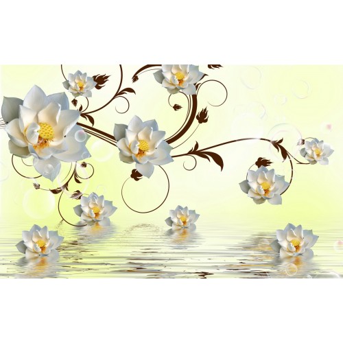 Прикосновение водных лотосов