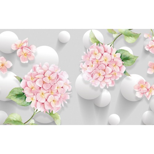 Розовая гортензия