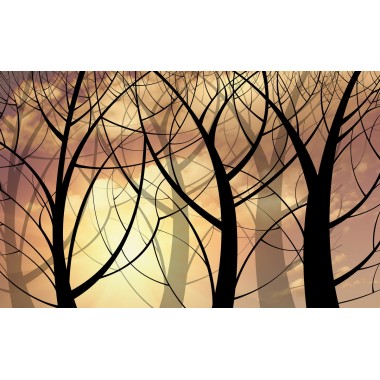 Фреска 3D лес в лучах заката
