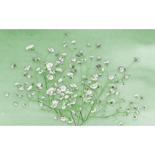 Фреска Эстетика шика