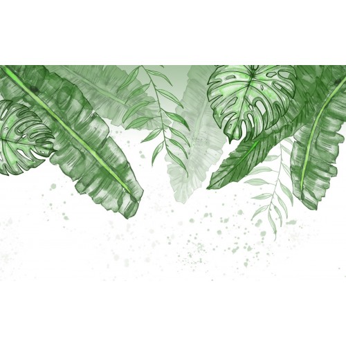 Тропические растения