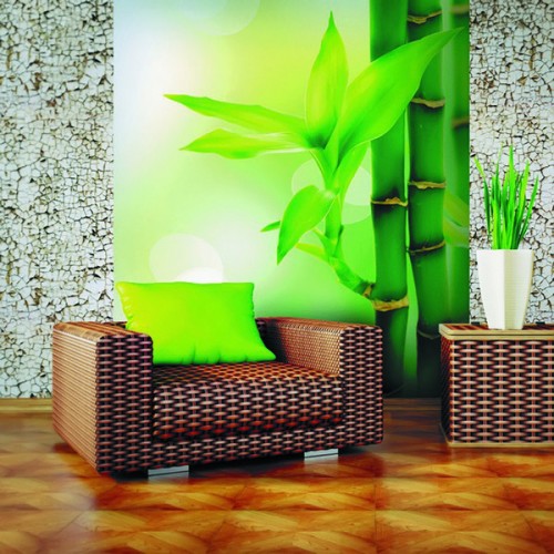 Фотообои Стильные Антимаркер 1-a-111 Freestyle