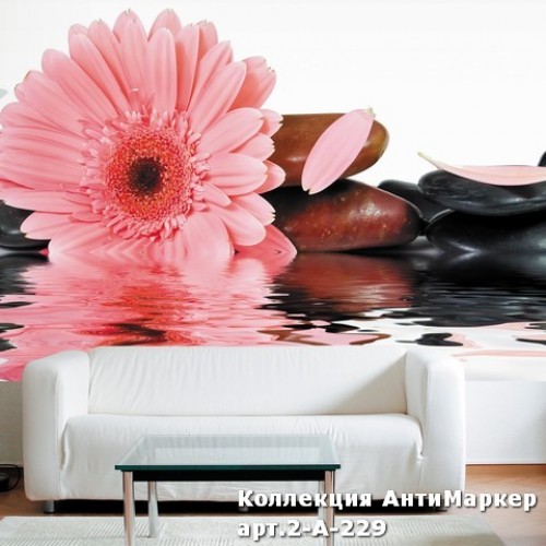 Фотообои Стильные Антимаркер 2-a-229 Freestyle