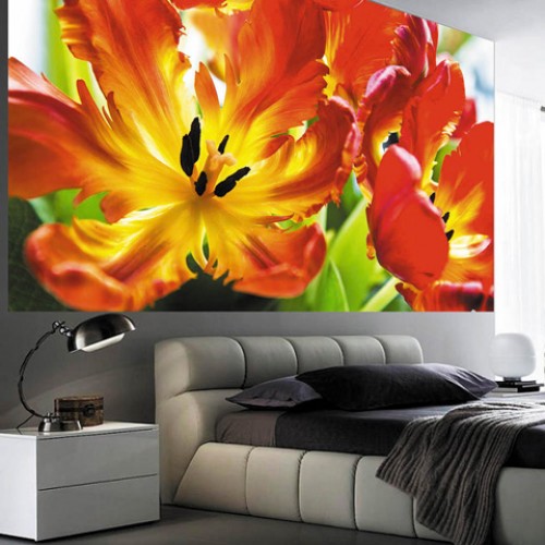 Фотообои Классические Антимаркер 2-a-250 Family