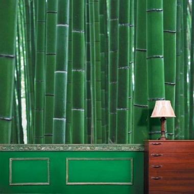 Фотообои Антимаркер зеленый бамбук 3-a-343