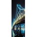 Фотообои CityArt "Ночной мост", CA0112, 100х270 см