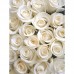 Фотообои CityArt "Белые розы", CA0241, 200х270 см