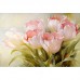 Фотообои CityArt "Нежный тюльпан", CA0459, 400х270 см