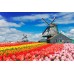 Фотообои CityArt "Весна в Голландии", CA0644, 200х135 см