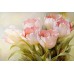 Фотообои CityArt "Нежный тюльпан", CA0759, 300х200 см