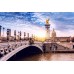 Фотообои CityArt "Александровский мост мира в Париже", CA0797, 300х200 см