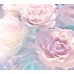 Фотообои CityArt "Нежность розового", CA5001, 200х180 см