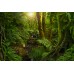 Фотообои CityArt "Лесной родник", CA7053, 300х200 см