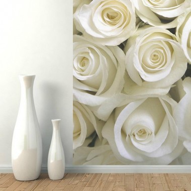 Флизелиновые фотообои Белые Розы Versal v-106