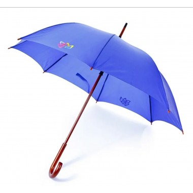 Нанесение логотипа на зонт DTF 