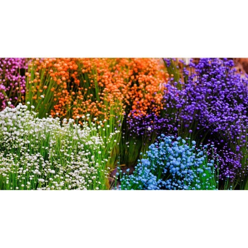 Фотосетка АРТ для декорирования заборов и сооружений, ФС035