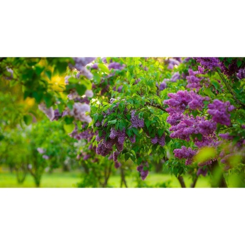 Фотосетка АРТ для декорирования заборов и сооружений, ФС027